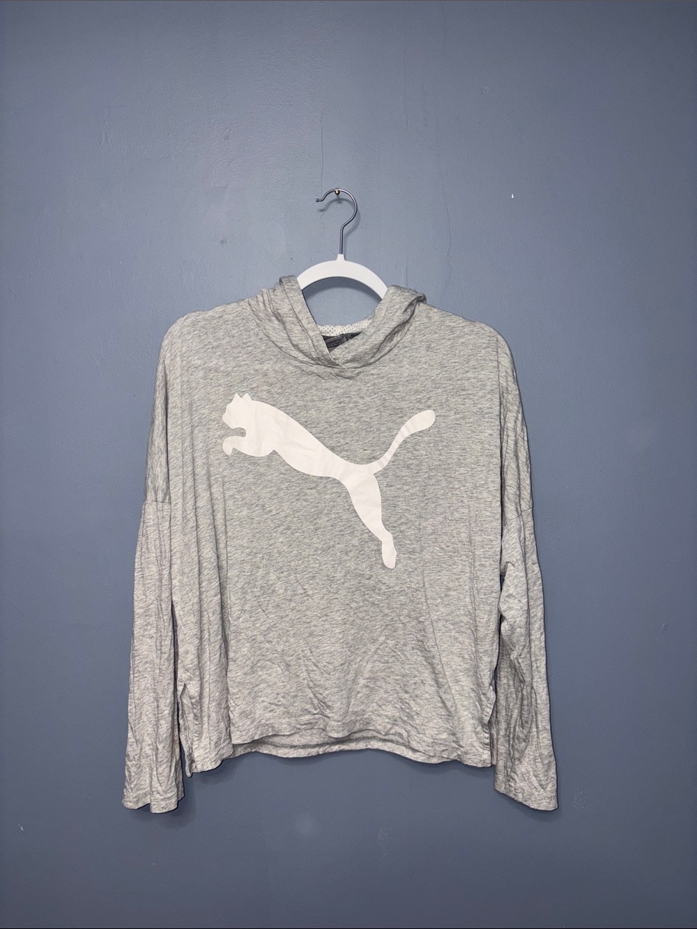 Puma • Gray Hood Longsleeve